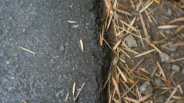 滑らかなアスファルトの道路 タルマックの食感 トップビュー — ストック写真