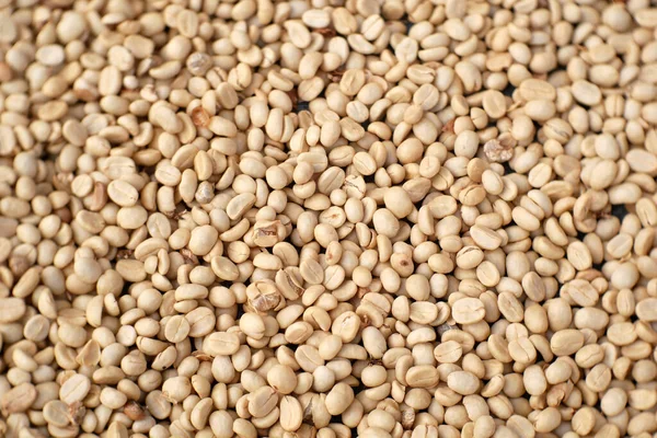 Семена Белого Кофе Фона — стоковое фото