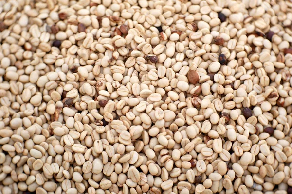 Белый Кофе Зернах Фон Органические Сухой Кофе Семена — стоковое фото