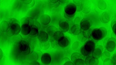 Bulanık yeşil yaprak ve bokeh ışığı arkaplanı