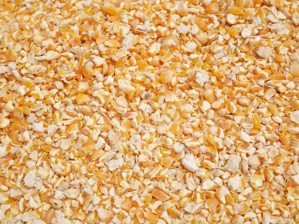 dried corn seed for background, corn for animal feed