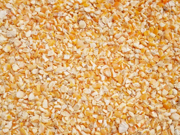 Arka plan için kurutulmuş mısır tohumu, hayvan yemi için mısır.