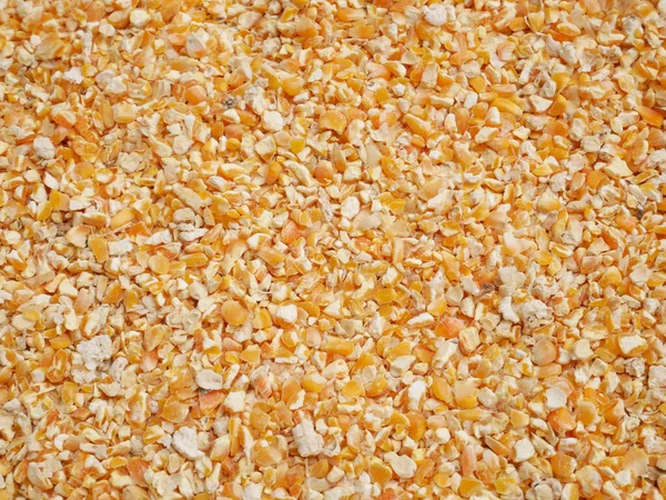 Сушеная Кукуруза Фона Кукуруза Корма Животных — стоковое фото