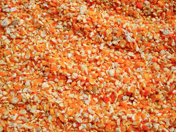 dried corn seed for background, corn for animal feed