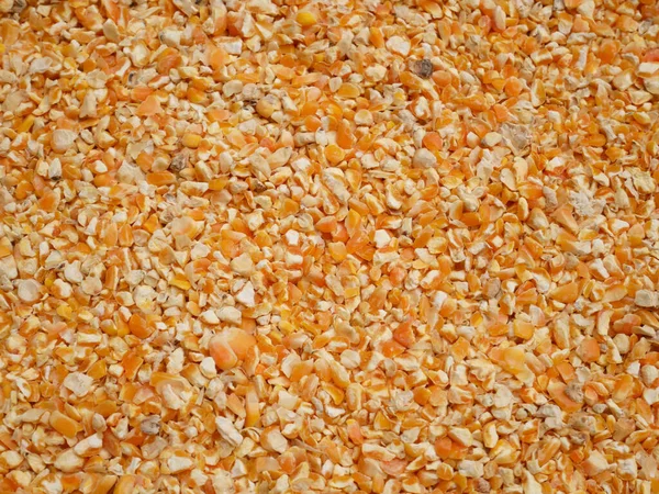 Сушеная Кукуруза Фона Кукуруза Корма Животных — стоковое фото