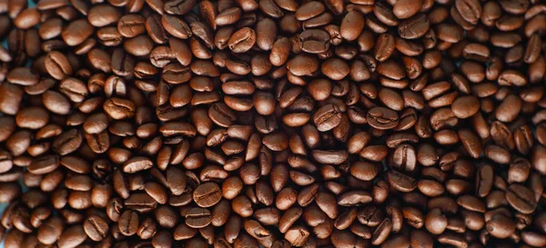 Кофе Бин Фона Органические Семена Кофе — стоковое фото