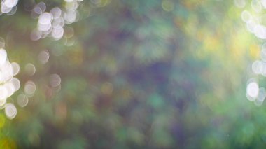 Bulanık yeşil yaprak ve bokeh ışığı arkaplanı