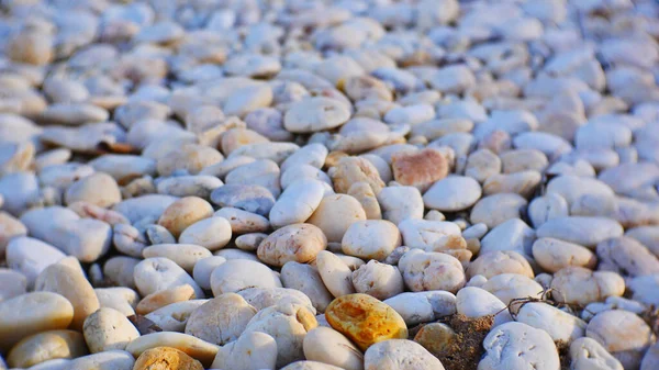 Белый Галечный Камень Фон Каменный Пол — стоковое фото
