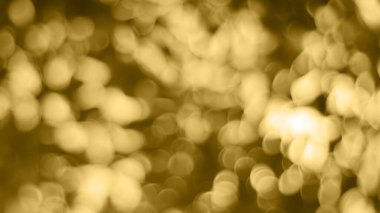 Hafif doğa, Bokeh arkaplanı