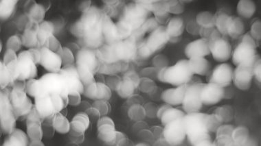 Hafif doğa, Bokeh arkaplanı