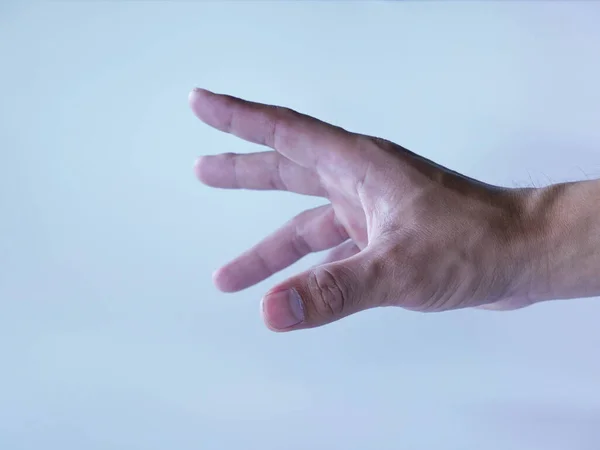 美しいエレガントな手のショージェスチャー白の背景 — ストック写真