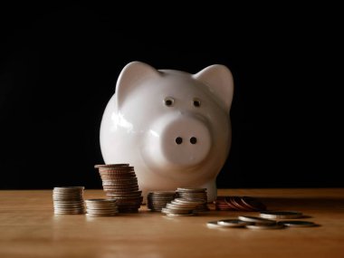 Domuz kumbarası ve madeni para biriktirme kavramı