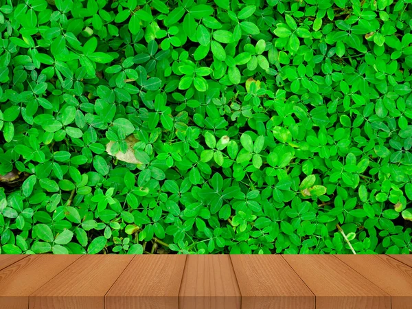 Ürün Gösterimi Için Ahşap Tablo Yeşil Yaprak Bitki Arka Planı — Stok fotoğraf