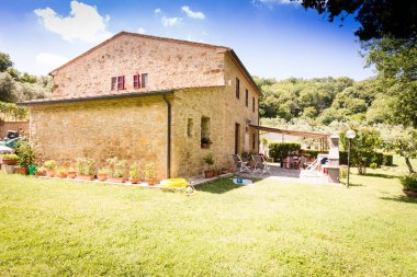 Evin arkasında bir incir ağacı doğal tuğla