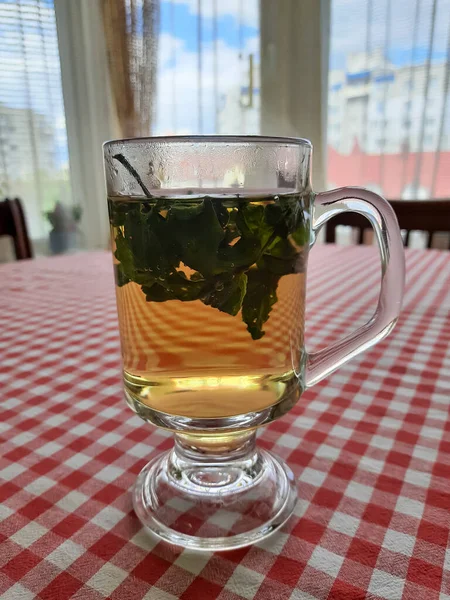 Herbal Tea Cup Table Checkered Tablecloth — Stock Photo, Image