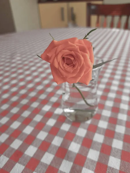 Τριαντάφυλλο Ένα Μικρό Διάφανο Βάζο Στο Τραπέζι — Φωτογραφία Αρχείου