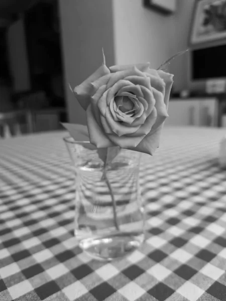 Rose Dans Petit Vase Transparent Sur Table — Photo