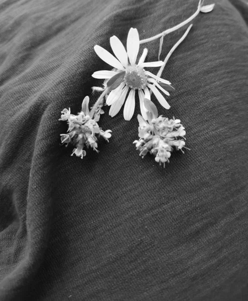 Siyah Beyaz Kumaş Üzerine Çiçekler — Stok fotoğraf