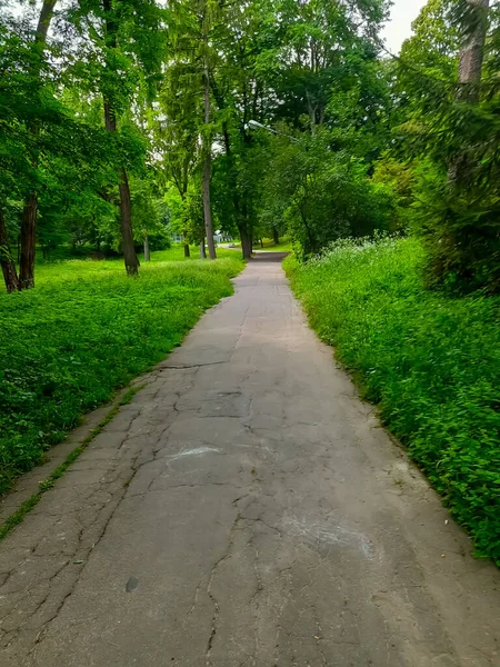 Caminho Parque — Fotografia de Stock