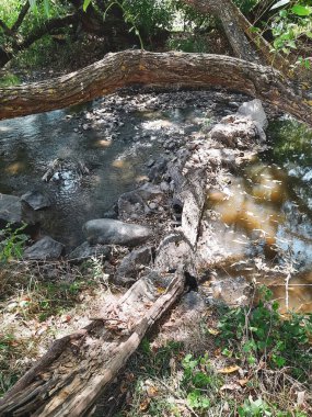 Büyük taşlı nehir manzarası.