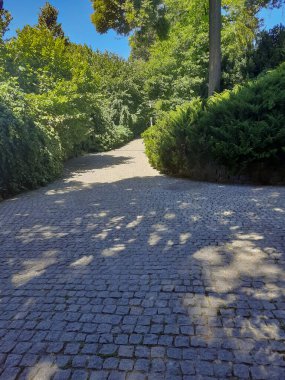 Yürüyüş için parktaki fayanslı yol..