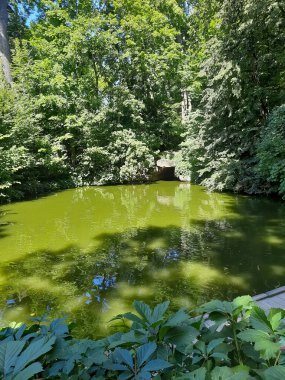 Göl manzaralı park yeri.