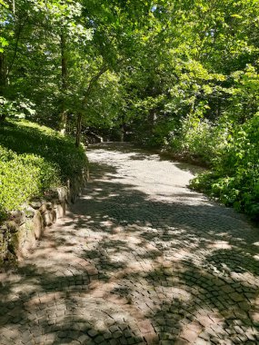 Yürüyüş için parktaki fayanslı yol..