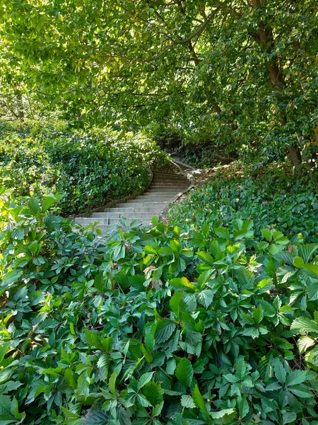 Stone Steps Park — Stock Photo, Image