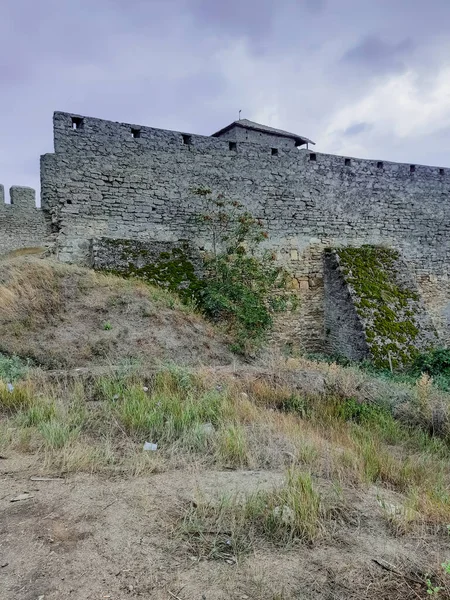 Die Alten Türme Der Restaurierten Burg — Stockfoto