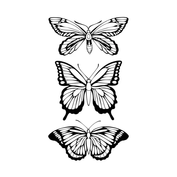 Hermosa Ilustración Conjunto Mariposas Vectoriales Contorno Negro Aislada Sobre Fondo — Vector de stock