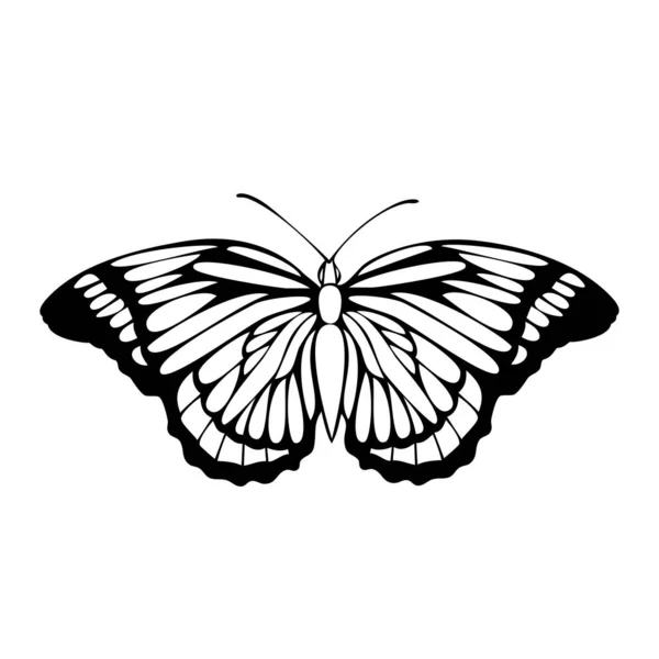 Piękny Czarny Zarys Wektor Motyl Ilustracja Izolowane Białym Tle Projektowania — Wektor stockowy