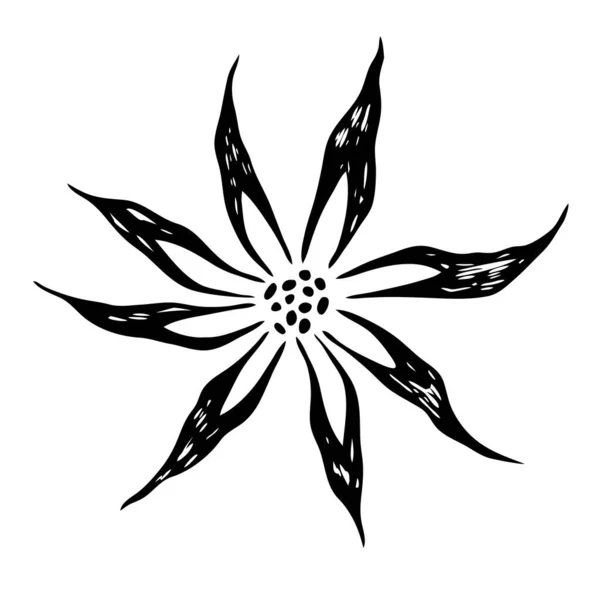 Hand Drawn Black Outline Baroque Vintage Floral Element Black White — Stock Vector