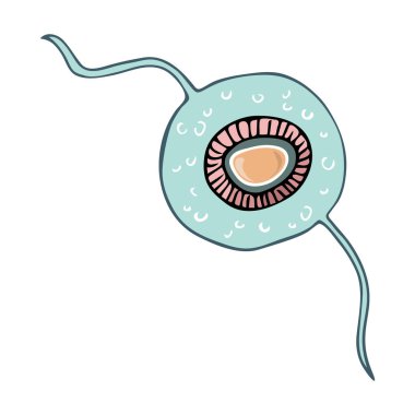 Beyaz arka planda izole edilmiş renkli el yapımı tenya helminth yumurta vektör çizimi. Hayvan ve insan paraziti kavramı.