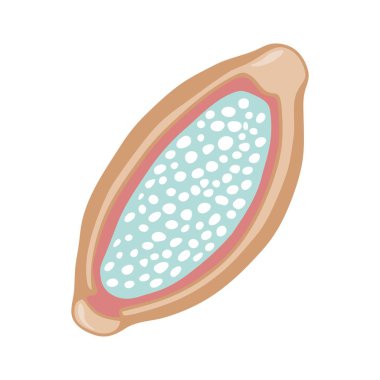 Beyaz arka planda izole edilmiş renkli el yapımı tenya helminth yumurta vektör çizimi. Hayvan ve insan paraziti kavramı.