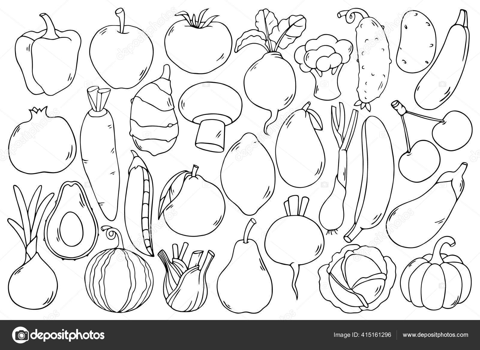 —　キャベツ　©rieznichek　ジャガイモ　ニンジン　ブロッコリー　ストックベクター　ビートルート　スイカ　落書きは　キュウリ　グラフィックデザインのための農業ベクトルイラストを概説します　かわいい手描き黒アウトライン子供の果物の野菜のテンプレートです　415161296