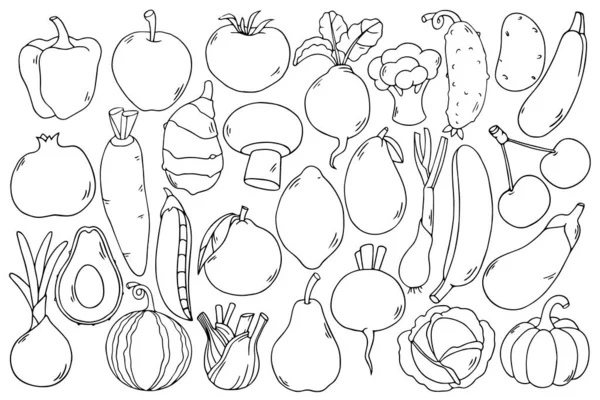 かわいい手描き黒アウトライン子供の果物の野菜のテンプレートです 落書きは グラフィックデザインのための農業ベクトルイラストを概説します ビートルート ブロッコリー キャベツ キュウリ ニンジン ジャガイモ スイカ ロイヤリティフリーストックベクター