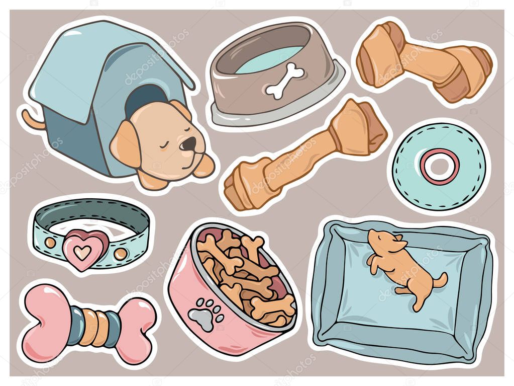 Cute hand drawn childish cartoon colorful accessories, gadgets, veterinary devices, care products and ecologically toys for pets sticker collection. Pet stuff vector illustrations for graphic design.