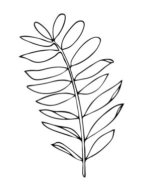 El çizimi siyah otlar beyaz arka planda izole edilmiş. Grafik tasarımı için tek renkli bitkisel vektör ögesi.