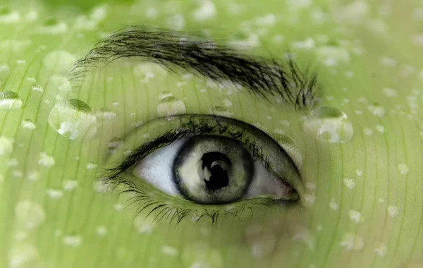 Photo manipulation of green eye with green background