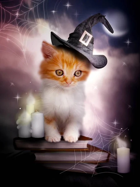 Chaton Mignon Assis Sur Vieux Livres Magiques — Photo