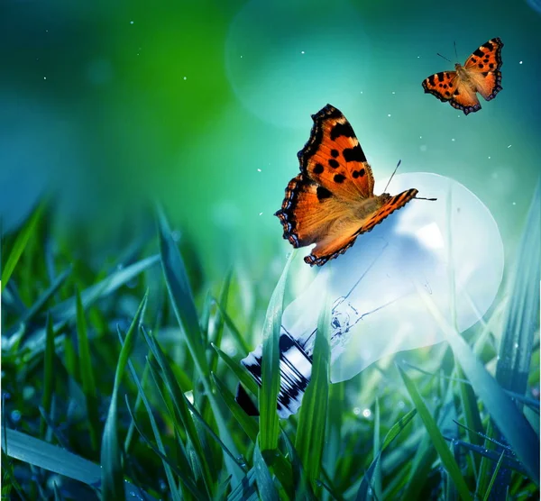 Light bulb hidden in grass in evening time with butterflies