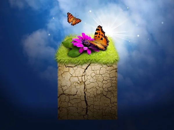 Foto Manipulation Eines Mit Schmetterlingen Dekorierten Grases — Stockfoto