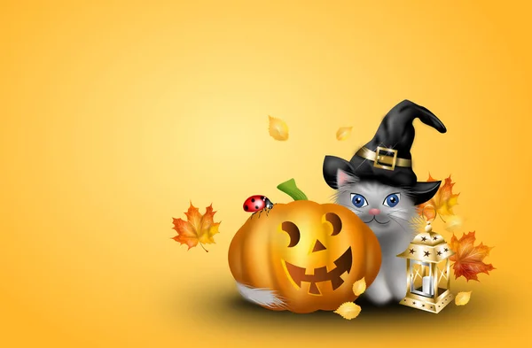 Gul Halloween Bakgrund Med Söt Illustration Katt Med Pumpa — Stockfoto