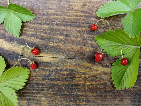 Forestry Strawberries On Wooden Background — Stock Photo, Image