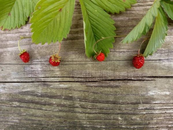 Forestry Strawberries On Wooden Background — Stock Photo, Image