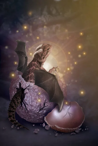 Doğum Dragon