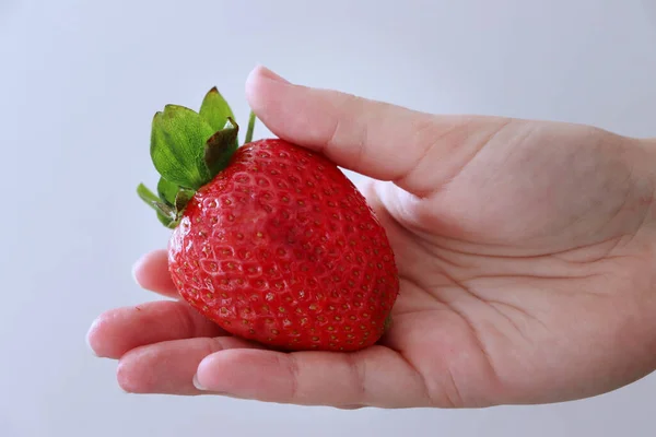 Big Strawberry Hand White Background — Stock Photo, Image