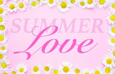 Yaz beyaz papatya ile çerçeveli pembe bir arka plan üzerinde yazılı aşk