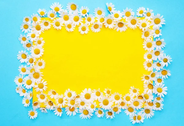 mavi ve sarı arka plan beyaz papatya ile çerçeveli