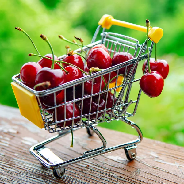 Mini Shoppingcart Red Ripe Cherries Green Background — Stock Photo, Image